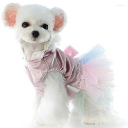 Dog Apparel Lollypop Autumn Winter Cute Dresses Soft Velvet Coloured Skirt Pet Clothes For Small Dogs Girl