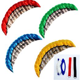 High Quality 250cmm Dual Line 4 Colours Kitesurf Parafoil Parachute Sports Beach Kite Easy To Fly