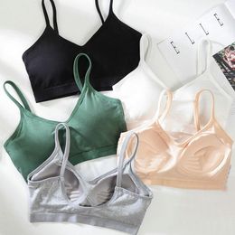 Camisoles & Tanks Pure Cotton For Women Underwear Solid Seamless Bra With Pads Push Up Fixed Cup Tops Bralette Brassiere Sexy Beautiful Back