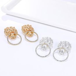 Stud Earrings Fashion Metal Animal Women Ethnic Lion Modelling Set Auger The Ring