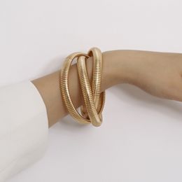 Charm Bracelets Gold Colour Snake Chains Spiral Twist for Women Punk Style Fashion Jewellery Ladies Hand Chain Bracelet Simple 230215