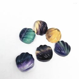 Decorative Figurines Natural Colourful Fluorite Sea Shell For Necklace Charms Women Jewellery Gift