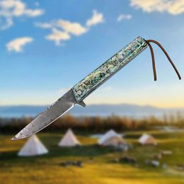 Hot R2317 Pocket Folding Knife 76 layers VG10 Damascus Steel Blade Blue Abalone shell Handle Ball Bearing Flipper Fast Open Knives with Nylon Bag