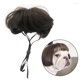 Dog Car Seat Covers Cosplay Wig For Small Dogs Pet Supplies Dance Accessories Decorative Hair Funny Cat Costume 2023