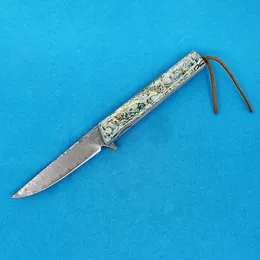 Promotion R2317 Pocket Folding Knife 76 layers VG10 Damascus Steel Blade Blue Abalone shell Handle Ball Bearing Flipper Fast Open Knives with Nylon Bag