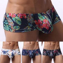 Underpants Men Sexy Printed Briefs Bulge Big Pouch Low Rise Underwear Low-waist Men's Erotic Lingerie Ropa Interior Hombre