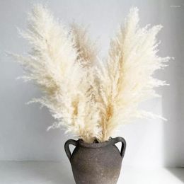 Decorative Flowers 80CM Natural Big Pampas Grass Fluffy Reed Dried Bouquet Large Wedding Decor Home Christmas Decoration