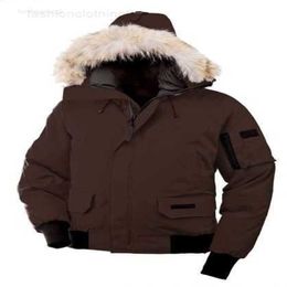 Down Parkas Canada Wyndhams Gooses Coats Mens Designers Jackets Veste Homme Winter Jassen Puffer Big Fur Appare FourRure Overwearvw92VW92