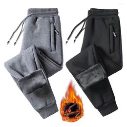 Men's Pants Casual Men Cargo Solid Color Plush Lining Thicken Autumn Winter Thermal Zipper Pockets Sweatpants For Daily Wear