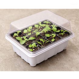 Planters & Pots 6/12-hole Garden Planting Seedling Bottom Tray Box With Lid Home Plant Supplies Gardening1