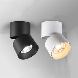 Downlights Surface Mounted LED Downlight 5W 10W 30W 40W Angle Adjustable Ceiling Lamps Kitchen Bathroom Foyer Aisle Decor SpotlightDownlight