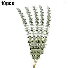 Decorative Flowers 10Pcs Natural Eucalyptus Leaves Dried Flower Wedding Decorate Eucalipto Stems For Home Ornaments DIY Green Decor Party