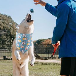 Dog Collars Pet Slobber Triangular Printing Scarf Neck Collar Adjustable Towel Neckerchief Gifts For Household Outdoor Walk