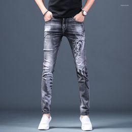 Men's Jeans Men's Ripped Casual Denim Printed Pants Small Feet Brand Korean Trousers Summer Grey Teenager Pencil