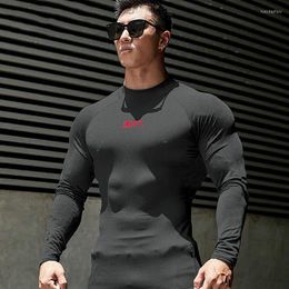 Men's T Shirts Korean Version Fitness Casual Pullover Spring And Autumn Men's Thin Breathable Training Clothes