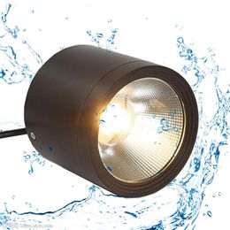 Downlights Outdoor Waterproof Led Downlight Surface Mounted Ceiling Spotlight Ip65 Lamp For Bathroom El DecorDownlights