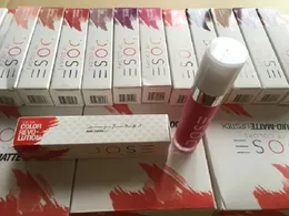 DHL Arrival soc Lip Gloss Liquid Matte Lipstick Waterproof Lip Gloss Lipgloss various Colours matte mixed sent