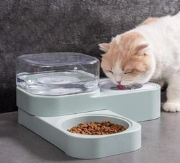 Ciotola per cani da gattino alimentatore a doppio gatto automatico con ciotola per bevi di bere da bere da bere.