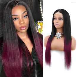 Ombre Burgundy Wig Brazilian Straight Hair Lace Closure Wigs For Black Women Human 4x4 Inch Clousre With Baby