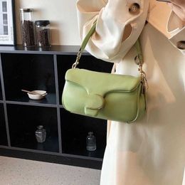 Luxury Designer bags Handbag Shoulder Crossbody Bag Tote bag French High Beauty Printing Fashionable Versatile Chain One Shoulder Messenger Factory Direct Sale