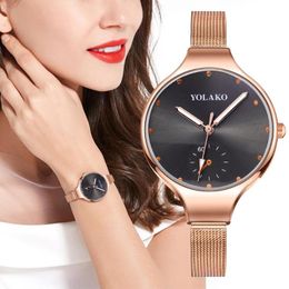 Armbanduhren Einfache Gold Silber Mesh Setal Strap Frauen Uhren Mode Armband Uhr 2023 Weibliche Quarzuhr Casual Damen