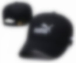 2023 Wholesale Stingy Brim Hats Trucker Cap for Men and Women Baseball Caps Trend Hat Spring/summer N20