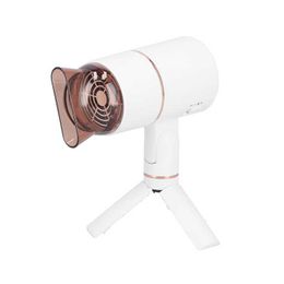 Electric Hair Dryer 3 Gear Foldable Hair Dryer Temperature Control Negative Ion Hair Drying Machine Portable Blow Dryer for Salon J230220