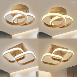 Ceiling Lights Metal Light Modern Chandelier High Brightness Porch Entrance Lamp Energy Saving For Living Room Bedroom