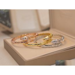 Bangle Snake Bracelets Bangles For Couples And Lovers Special Gift With 18K Gold Plated Diamond Serpentine Love Bracelet Dro Dhq4G