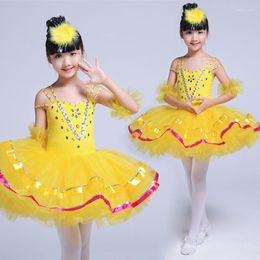 Stage Wear Girls Ballet Dancing Dress Female Professional Costumes Dance Tutu Swan Lake Customise D-0322