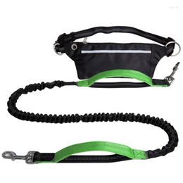 Dog Collars Practical Leash With Waist Bag Reflective Jogging Dogs Traction Rope Extendable Bungee Running Belt