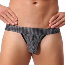 Underpants In Plus Size Mens Boxer Briefs Mesh Low Waist Underwear Breathable Knickers Short Sexy Gay Men Thong