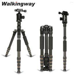 Tripods WKW Carbon Fiber Tripod Monopod Professional Lightweight Travel Camera Heavy Duty Stable Ball Head Compact Stand For DSLR