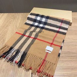 En İyi Tasarımcı Scarf Moda Markası Kış Kadınları ve Erkekler İçin% 100 Kaşmir Eşarplar Uzun Sargılar Boyut 180x30cm Hediye