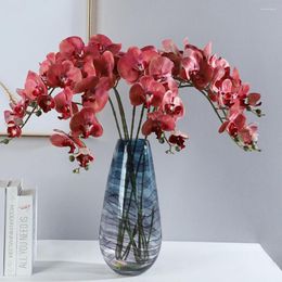 Decorative Flowers Fake Butterfly Orchid Everlasting Simulated Phalaenopsis Anti-fade Flower Arrangement Handcraft Artificial