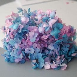 Decorative Flowers Gradient Color Hydrangea Preserved Flower DIY Earrings And Scented Candles Material For Gutta Percha Resin Home Decor