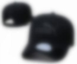 2023 Wholesale Stingy Brim Hats Trucker Cap for Men and Women Baseball Caps Trend Hat Spring/summer N15