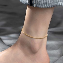 Anklets Rose Gold Colour Stainless Steel Snake Chain Anklet For Women Summer Foot Jewellery On The Leg Minimalist Bracelets Female