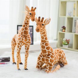 Nadziewane pluszowe zwierzęta Ogromne życie żyrafy żyrafy śliczne nadziewane lalki dla zwierząt miękka symulacja lalki żyrafa dar urodzinowy dzieciak z sypialnią dekoracje 230220