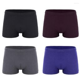 Underpants Boxers Mens Modal Soft Boxershorts Underwear Solid Colour Boxer Short Male Pure Men Panties Shorts Clothing 2023