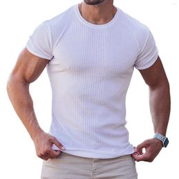 Men's T Shirts Mens T-shirt Gym Fitness Casual Ribbed Short Sleeve Tees Tops Workout Slim Fitted Solid Color Round Neck Tee Shirt