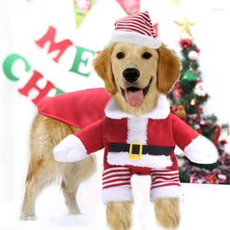 Dog Apparel 2 Piece Christmas Clothes Set Fleece Wide Waistband Lapel Neck Warm Party Standing Santa Dress With Lace-up Hat XS-7XL