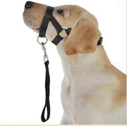 Dog Collars Halti Collar Halter Training Head Gentle Leader Harness Nylon Breakaway Usefull Harnesses Lead