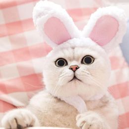 Cat Costumes Cute Headgear Funny Pet Dog Costume Warm Cosplay Party Po Prop Year Ears Headwear Christmas Hat Ne E1A6