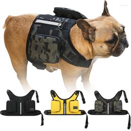 Dog Collars Portable Travel Pet Harness Backpack Bag With Leash School For Small And Medium Go Out Storage