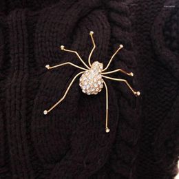 Brooches Fashion Jewellery Broches Crystal Rhinestone Spider Brooch Pins Costume Insect Broche Vintage Large For Women Men