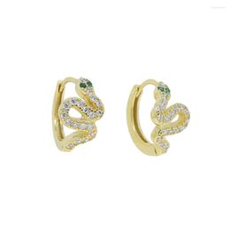 Hoop Earrings 925 Sterling Silver Snake Small Earring Micro Pave 5A CZ High Quality Jewellery Fashion