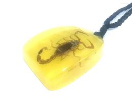 Pendant Necklaces 20 Pcs Real Gold Scorpion Amber Resin Color Ornaments