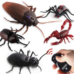 ElectricRC Animals Infrared Remote Control Cockroach Simulation Animal Creepy Spider Bug Prank Fun RC Kids Toy Gift High Quality Drop 230222