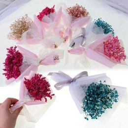Decorative Flowers Real Happy Flower Small Natural Dried Bouquet Dry Press Mini Pography Po Gift Backdrop Decor
